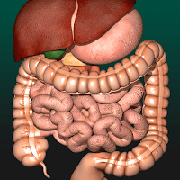 Internal Organs in 3D Anatomy для Android