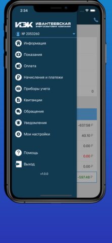 ЛКК ИЭК для iOS — скриншот 5