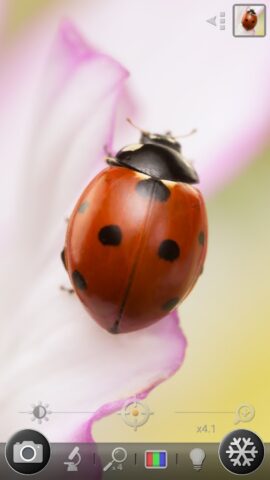 Лупа и микроскоп для Android — скриншот 3