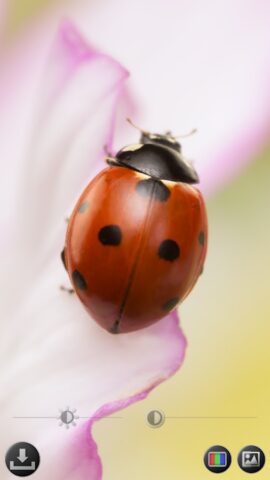 Лупа и микроскоп для Android — скриншот 5