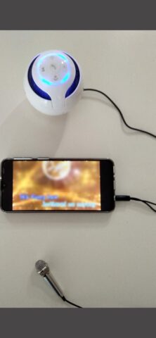 Микрофон и динамик для iOS — скриншот 1