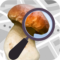 Mushroom Identify (признать гр для Android