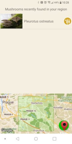 По грибы для Android — скриншот 5