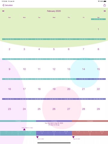 My Pregnancy Calendar для iOS — скриншот 1