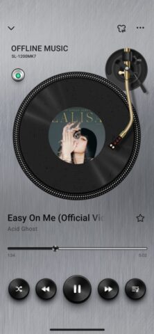 Offline Music Player-MP3&Video для iOS — скриншот 2