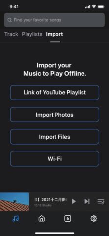 Offline Music Player-MP3&Video для iOS — скриншот 4