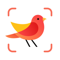Picture Bird — Распознать птиц для iOS