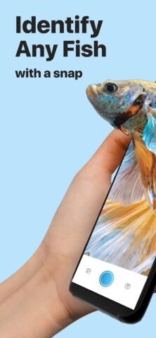 Picture Fish — Fish Identifier для Android — скриншот 1