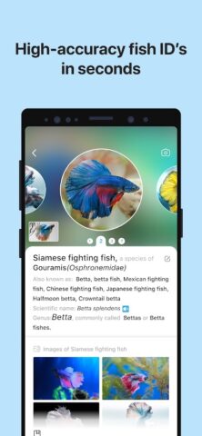 Picture Fish — Fish Identifier для Android — скриншот 3