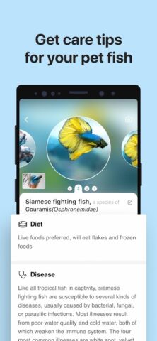 Picture Fish — Fish Identifier для Android — скриншот 4