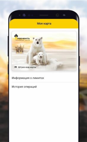 РН-Карт для Android — скриншот 1