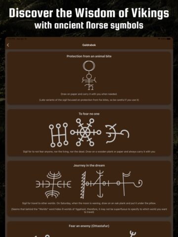 Рунические формулы и Руны для iOS — скриншот 3