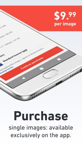 Изображения+видео Shutterstock для Android — скриншот 3