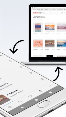 Изображения+видео Shutterstock для Android — скриншот 5