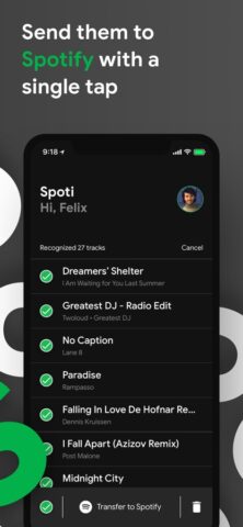 SpotiApp — export music для iOS — скриншот 4
