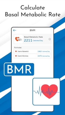 Калькулятор TDEE: Вычислит BMR для Android — скриншот 3