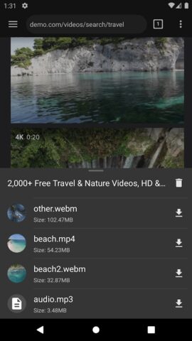 Video Downloader для Android — скриншот 2