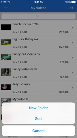 Видео Загрузчик для iPhone для iOS — скриншот 1
