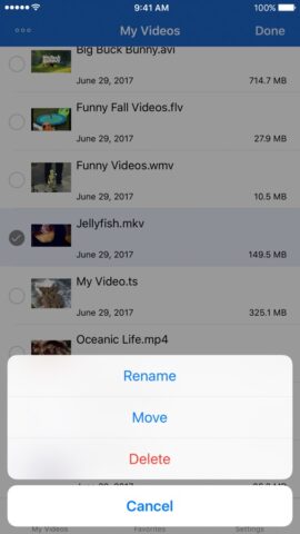 Видео Загрузчик для iPhone для iOS — скриншот 2