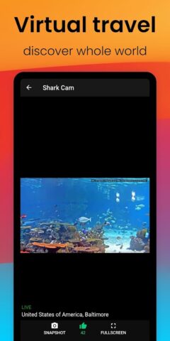 Webcams Online – онлайн камеры для Android — скриншот 5