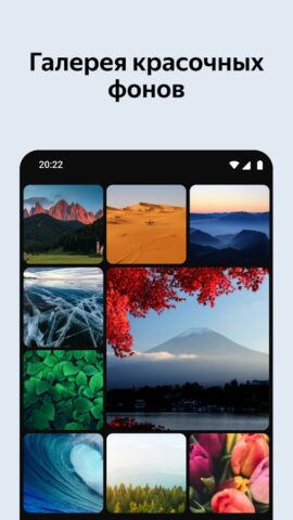 Яндекс Браузер для ТВ для Android — скриншот 5