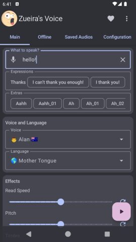 Zueira’s Voice: Text to Speech — скриншот 1