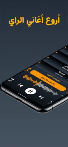 100 اغاني الراي بدون نت 2026 для Android — скриншот 2