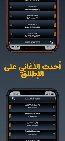 100 اغاني الراي بدون نت 2026 для Android — скриншот 4