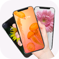 Ежедневная смена обоев для Android