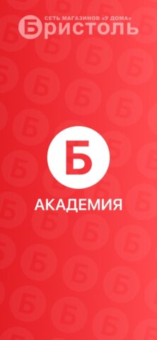 Академия Бристоль — скриншот 1