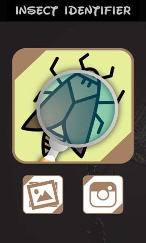идентификатор насекомых для Android — скриншот 1