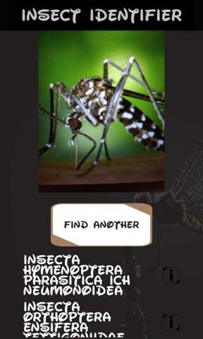 идентификатор насекомых для Android — скриншот 3