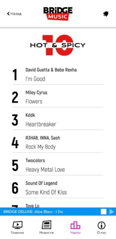 Bridge Music для Android — скриншот 4