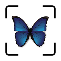 Распознать насекомое по фото для iOS