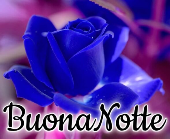 Buonanotte для Android — скриншот 3