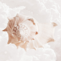 МАК: Карта Дня для iOS