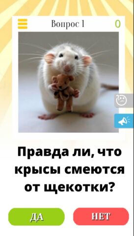 Да или Нет — Вопрос ответ 2024 для Android — скриншот 3