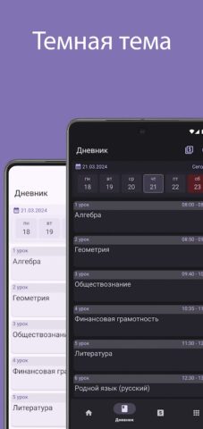 Дневник Pskovedu для Android — скриншот 3
