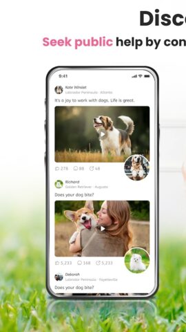 Идентификатор породы собак для Android — скриншот 5