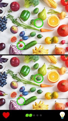 Найти различия 1000+ уровнях для Android — скриншот 2