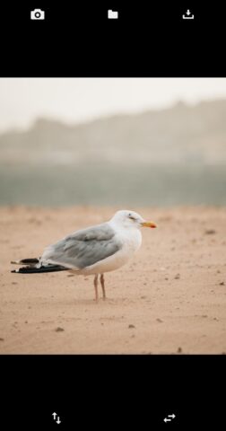 Перевернуть фото для Android — скриншот 2