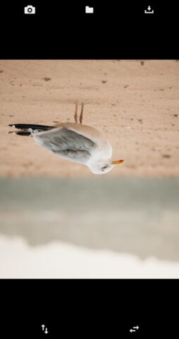 Перевернуть фото для Android — скриншот 3