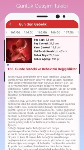 Gün Gün Gebelik Takibi для Android — скриншот 3