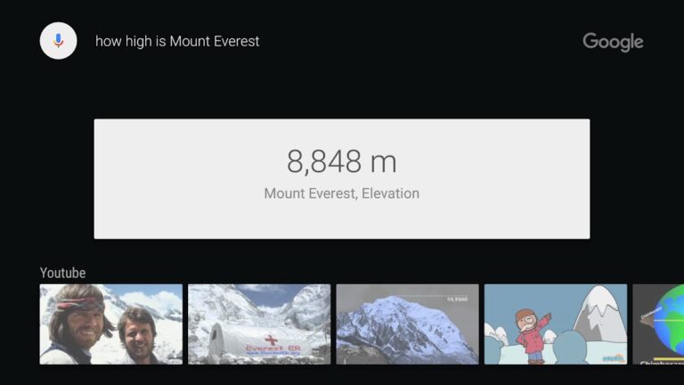 Google app for Android TV для Android — скриншот 3