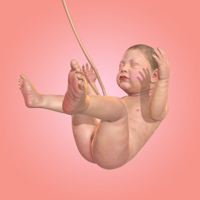 Idle 9 Months для iOS