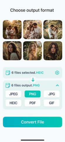 Конвертер фото в JPEG PNG HEIC для iOS — скриншот 2