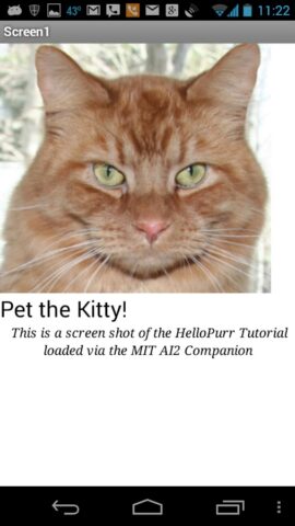 MIT AI2 Companion для Android — скриншот 2