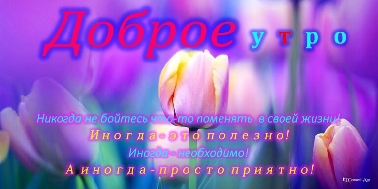 Доброе утро, день, ночи для Android — скриншот 1