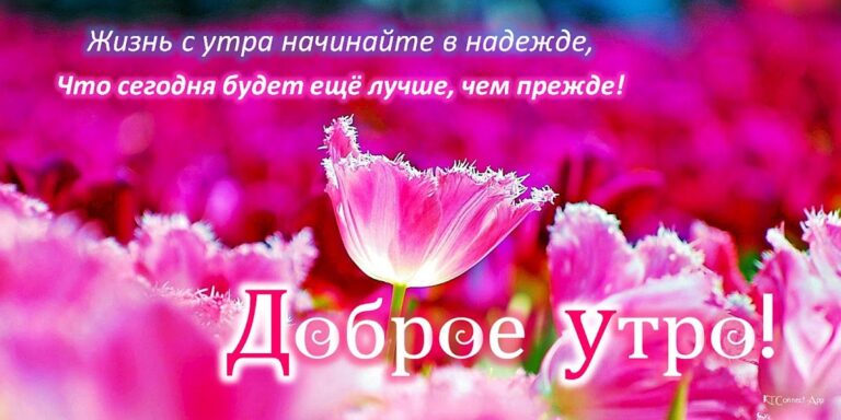 Доброе утро, день, ночи для Android — скриншот 2