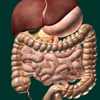 ORGANS 3D (ANATOMY) для iOS